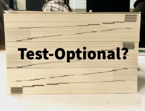 Affirmative Action. Is Test-Optional the way?
